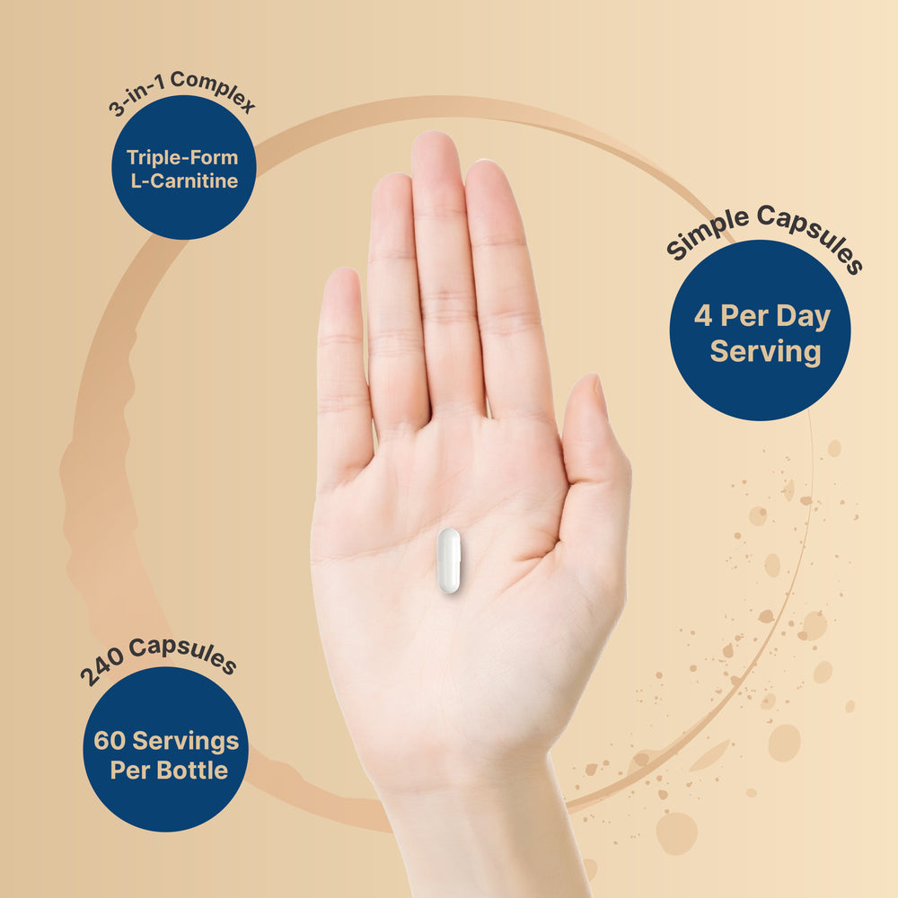 sanabelle sterilised l-carnitine L-Carnitine effervescent and also acts as a carrier of fatty acids into the mitochondria Triple L-Carnitine 3-in1 Complex 3000mg,