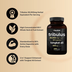 Tribulus Terrestris 36,000mg with Tongkat Ali 400mg, 240 Capsules