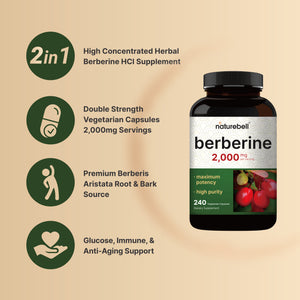 Berberine Supplement 500mg Per Capsule (2,000mg Per Serving) | 240 Veggie Capsules