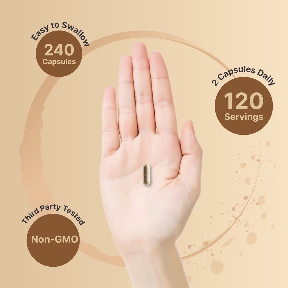 Ashwagandha 12,500 mg Equivalent with Black Pepper, 240 Capsules