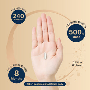 Magnesium Glycinate 500mg, 240 Capsules