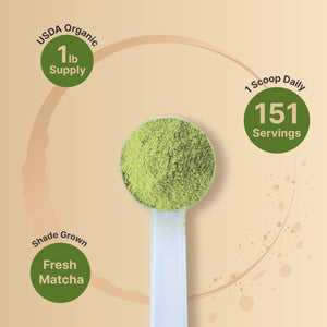 Organic Matcha Green Tea Powder, 1 Pound, Unsweetened with Zero Sugar