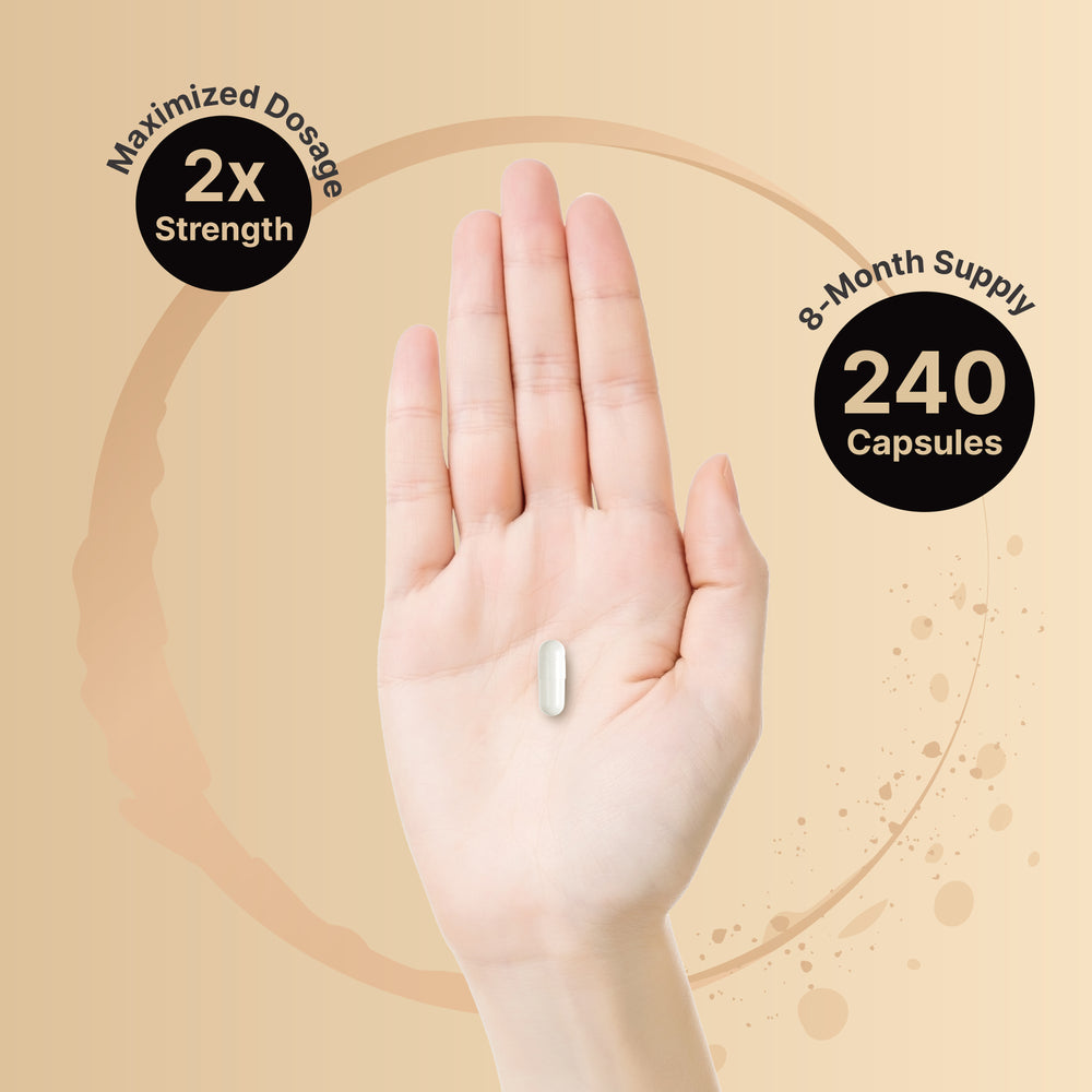 Zinc Picolinate 240 Count