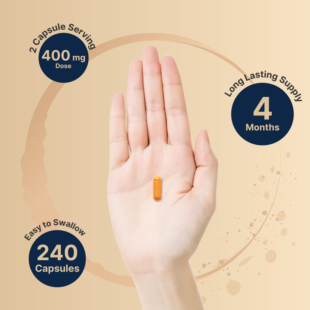 NatureBell Vitamin B2 Riboflavin 400mg, 240 Capsules
