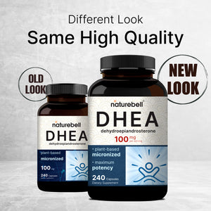 Micronized DHEA 100mg, 240 Capsules