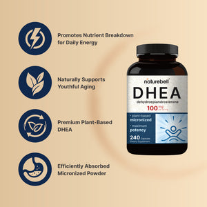 Micronized DHEA 100mg, 240 Capsules