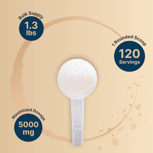 L-Glutamine Powder